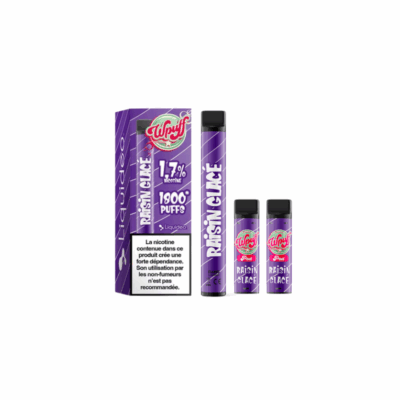 Kit WPuff 1800 Pod + 3 pods 2ml 1.7% Liquideo - Raisin glacé